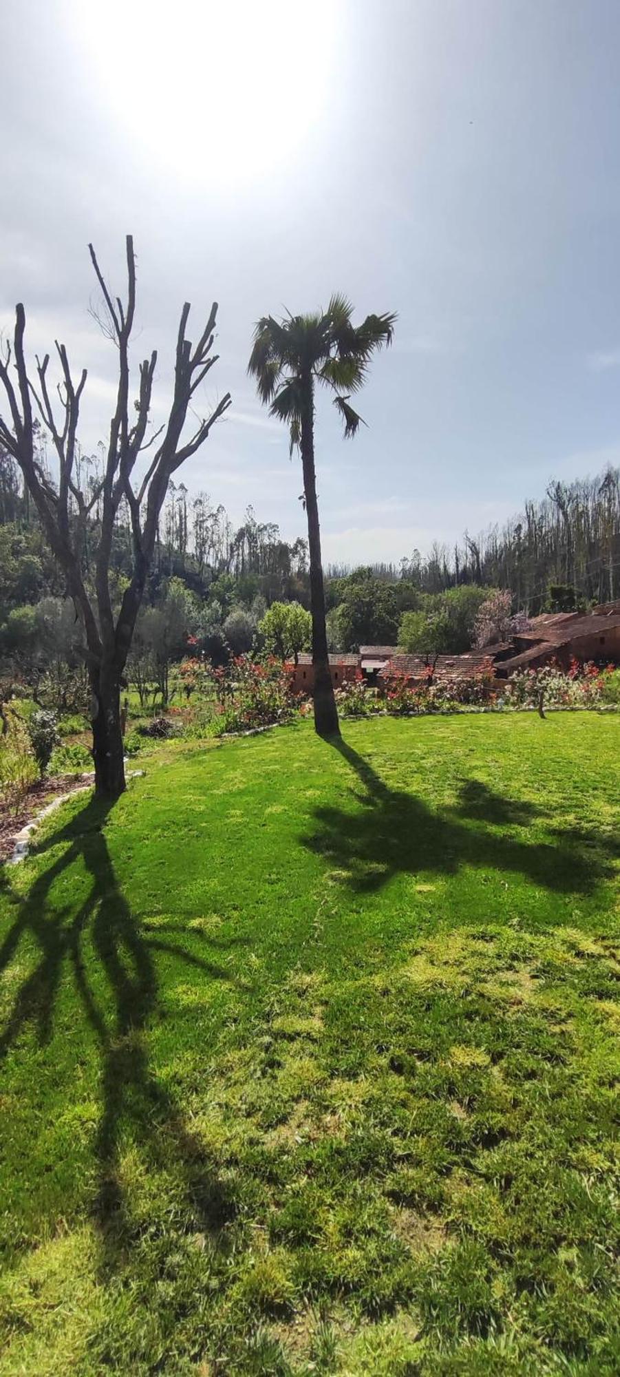 Charm House Casa Da Eira Villa Angeja ภายนอก รูปภาพ